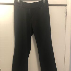 New York and company Petite Slacks